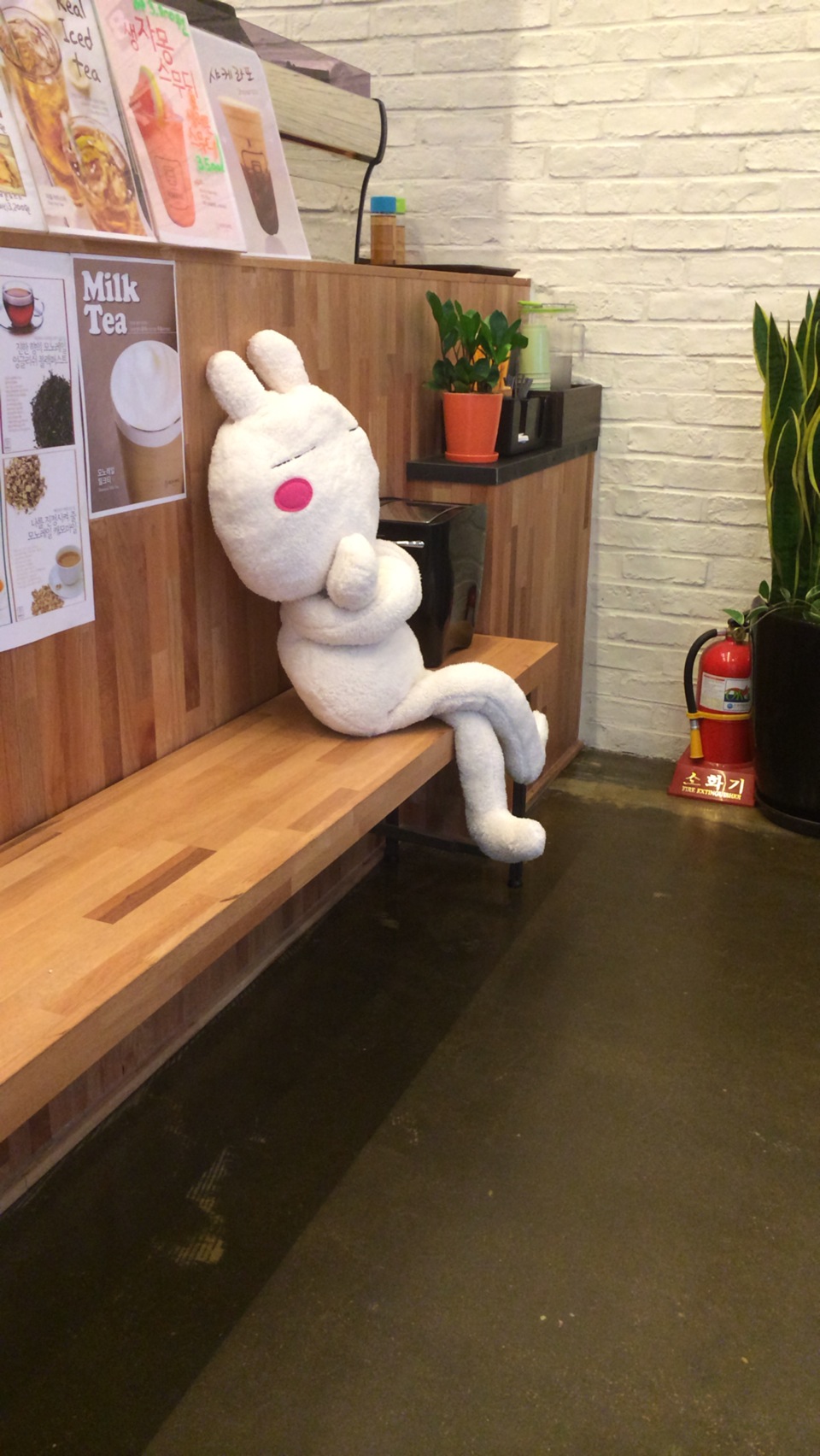 회원 갤러리 이미지
